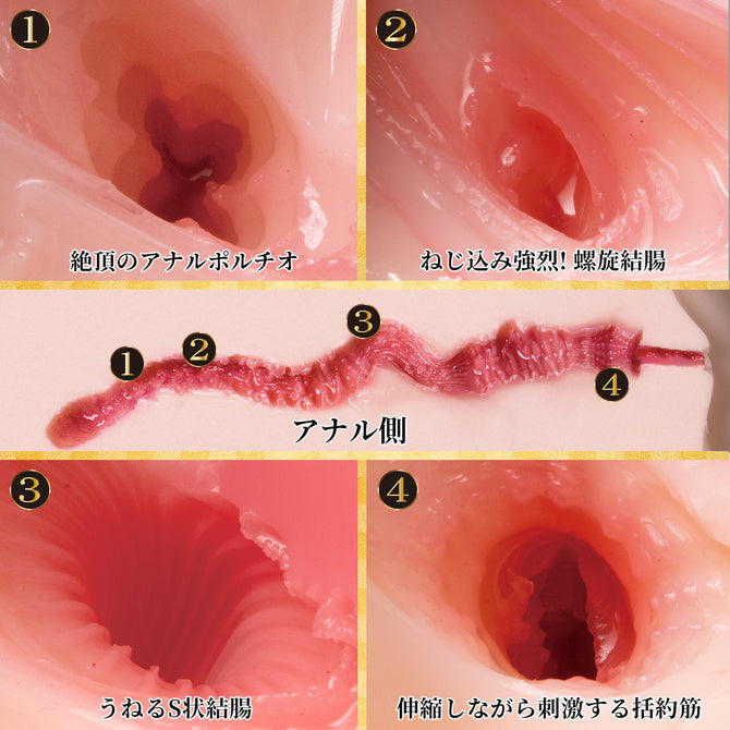 極生尻深田詠美雙穴名器