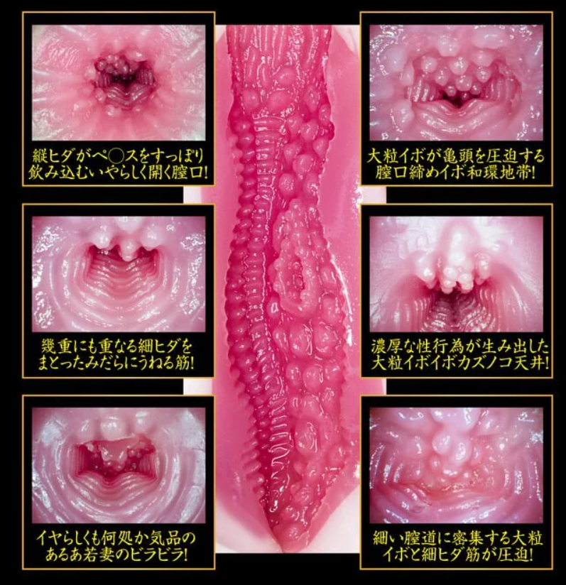 NPG完熟物語真實葵司名器